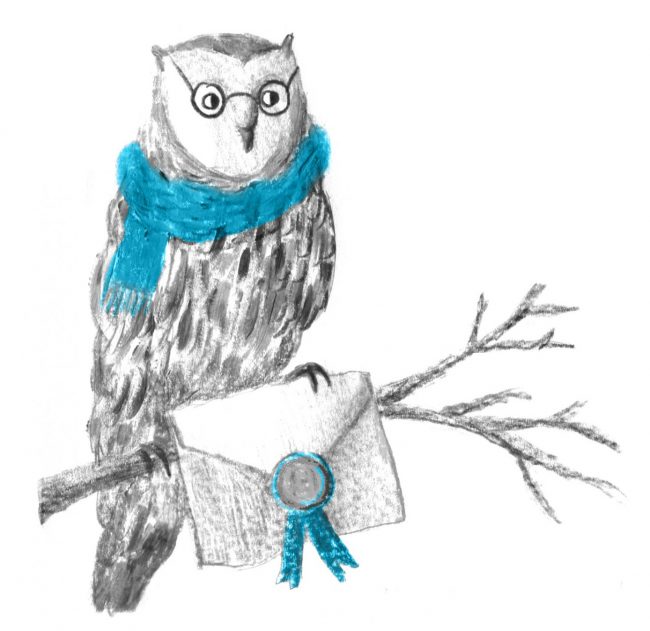 contact-page-owl-heb