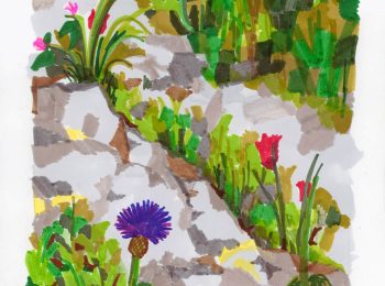 spring2024_A_web_mini